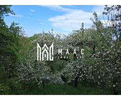 Casa 3 Camere De Renovat I Teren 700 MP I Poiana Sibiului - Imagine 6