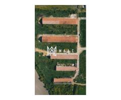 Teren intravilan I 63.980 mp I Front Stradal I Apoldu de Sus - Imagine 4