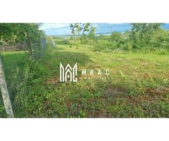 Teren intravilan de vânzare Daia Nouă | 1000 mp | Ideal pentru construcție - Imagine 4