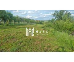 Teren intravilan de vânzare Daia Nouă | 1000 mp | Ideal pentru construcție - Imagine 6