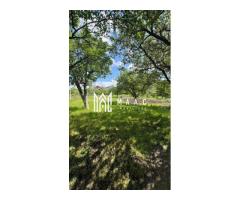 Case de vanzare Sibiu | Casă 3 camere | Gusterița, teren 2381 mp - Imagine 3