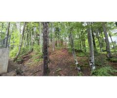 Teren intravilan 720 mp Sinaia - Imagine 3