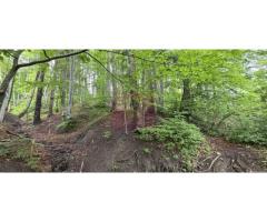 Teren intravilan 720 mp Sinaia - Imagine 4