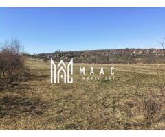 Teren | Intravilan | 400 MPU | Daia - Imagine 3