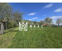 Teren 5400 mp superb cu livada si vedere spre munti Orlat - Imagine 9
