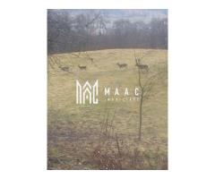 Casa Veche I 8000 mp I Abrud I Alba - Imagine 6