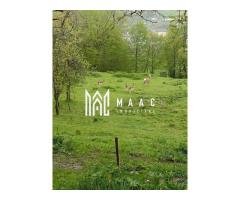 Casa Veche I 8000 mp I Abrud I Alba - Imagine 11