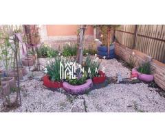 Casa Individuala I 165 MPU I Zona Tineretului- Sibiu - Imagine 10