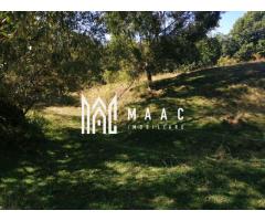 Teren Extravilan 20.000Mp I Stoenești -Vâlcea I Apă Curentă și Pădure - Imagine 7