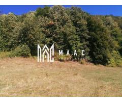 Teren Extravilan 20.000Mp I Stoenești -Vâlcea I Apă Curentă și Pădure - Imagine 9
