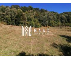 Teren Extravilan 20.000Mp I Stoenești -Vâlcea I Apă Curentă și Pădure - Imagine 11