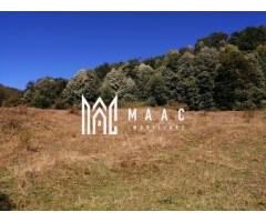 Teren Extravilan 20.000Mp I Stoenești -Vâlcea I Apă Curentă și Pădure - Imagine 12