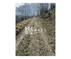Casa veche I Bistra I Alba  1850 mp teren - Imagine 4
