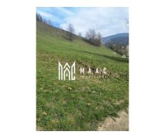 Casa veche I Bistra I Alba  1850 mp teren - Imagine 10