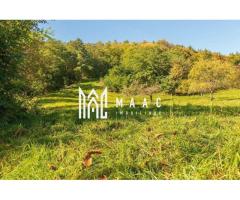 Teren | Intravilan | 2439 MPU | Fântânele