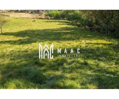 Teren | Intravilan | 2439 MPU | Fântânele - Imagine 3