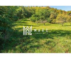 Teren | Intravilan | 2439 MPU | Fântânele - Imagine 4