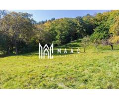 Teren | Intravilan | 2439 MPU | Fântânele - Imagine 5