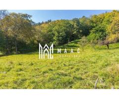 Teren | Intravilan | 2439 MPU | Fântânele - Imagine 7