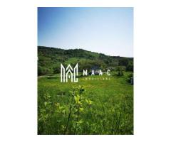 Teren | Intravilan | 5129 MP | 2 Cabane AFrame | Oportunitate Investiție | Bradu - Imagine 2
