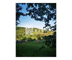 Teren | Intravilan | 5129 MP | 2 Cabane AFrame | Oportunitate Investiție | Bradu - Imagine 5