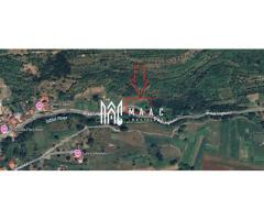 Teren 2317 mp INVESTITIE Sibiel - Imagine 2