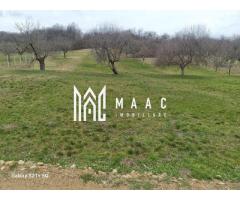 Teren 1400 mp | Valea Mărului | Parcelabil | Cabane / Retreat în natură