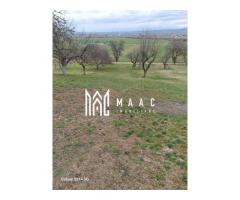 Teren 1400 mp | Valea Mărului | Parcelabil | Cabane / Retreat în natură - Imagine 2
