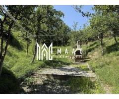 Casă  I Teren 1550 mp I Sat Vale I Mărginimea Sibiului - Imagine 2