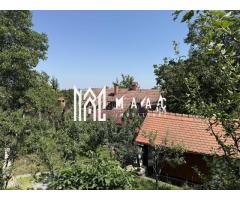 Casă  I Teren 1550 mp I Sat Vale I Mărginimea Sibiului - Imagine 4