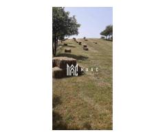Casa I 60000 mp pamant I  Cugir I Alba - Imagine 2