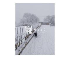 Casa I 60000 mp pamant I  Cugir I Alba - Imagine 4