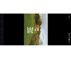 Casa I 60000 mp pamant I  Cugir I Alba - Imagine 7