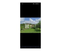 Casa I 60000 mp pamant I  Cugir I Alba - Imagine 8