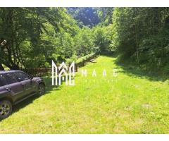 Paradis I Casa de lemn I Transalpina I Sugag - Imagine 3