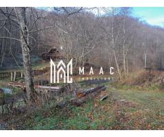 Paradis I Casa de lemn I Transalpina I Sugag - Imagine 4