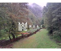 Paradis I Casa de lemn I Transalpina I Sugag - Imagine 6