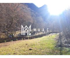 Paradis I Casa de lemn I Transalpina I Sugag - Imagine 7