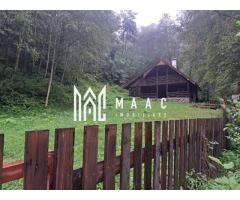 Paradis I Casa de lemn I Transalpina I Sugag - Imagine 8