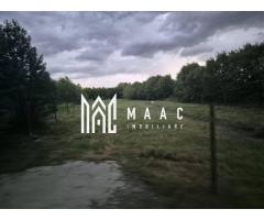 Teren Intravilian  I 2000 mp I Valea Avrigului Sibiu - Imagine 4