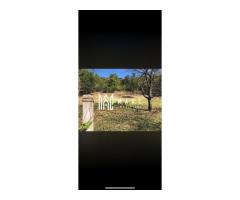 Casa de vanzare | teren intravilan| Troianu| 2166mp - Imagine 4