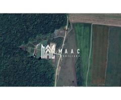 Teren | Intravilan | 1182 MP | Autorizație și Proiect Avizat | Șura Mică - Imagine 2