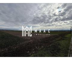 Teren intravilan | 9600 mp | Șură Mică | Utilități | Drum Asfaltat - Imagine 4
