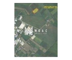 Teren | 8200 MP | Oportunitate investiție |  Extravilan | Șura Mică - Imagine 2