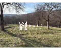 Teren de vânzare, 7750 mp I Orientare sudică I Caineni
