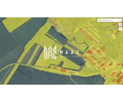 Teren | Uzina G | Viitorul Parc Industrial | 64.000 MP - Imagine 3