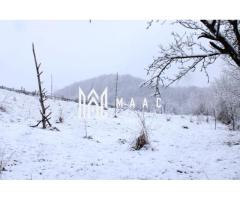 Teren I Constructie I izvor apă minerală  Dangești I 2 Hectare - Imagine 7