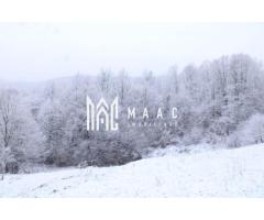 Teren I Constructie I izvor apă minerală  Dangești I 2 Hectare - Imagine 11