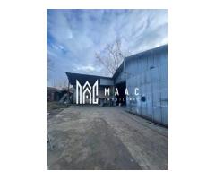 Hala | 380 MP | Teren 800 MP