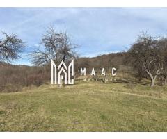 Teren  extravilan I 5300 mpI  Salatrucel -Calimanesti - Imagine 2